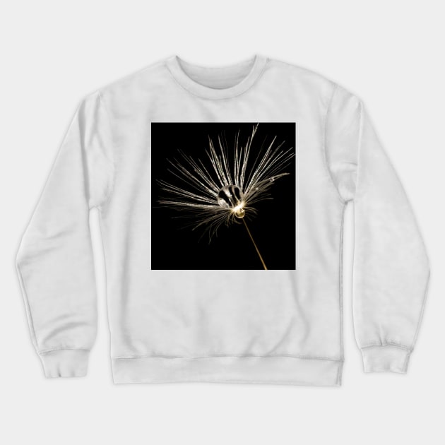 Dandelion Seedhead Crewneck Sweatshirt by captureasecond